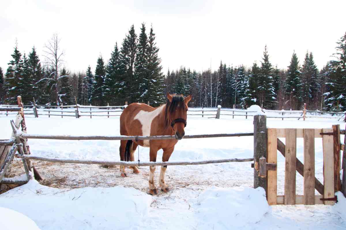 Time in Sweden winter