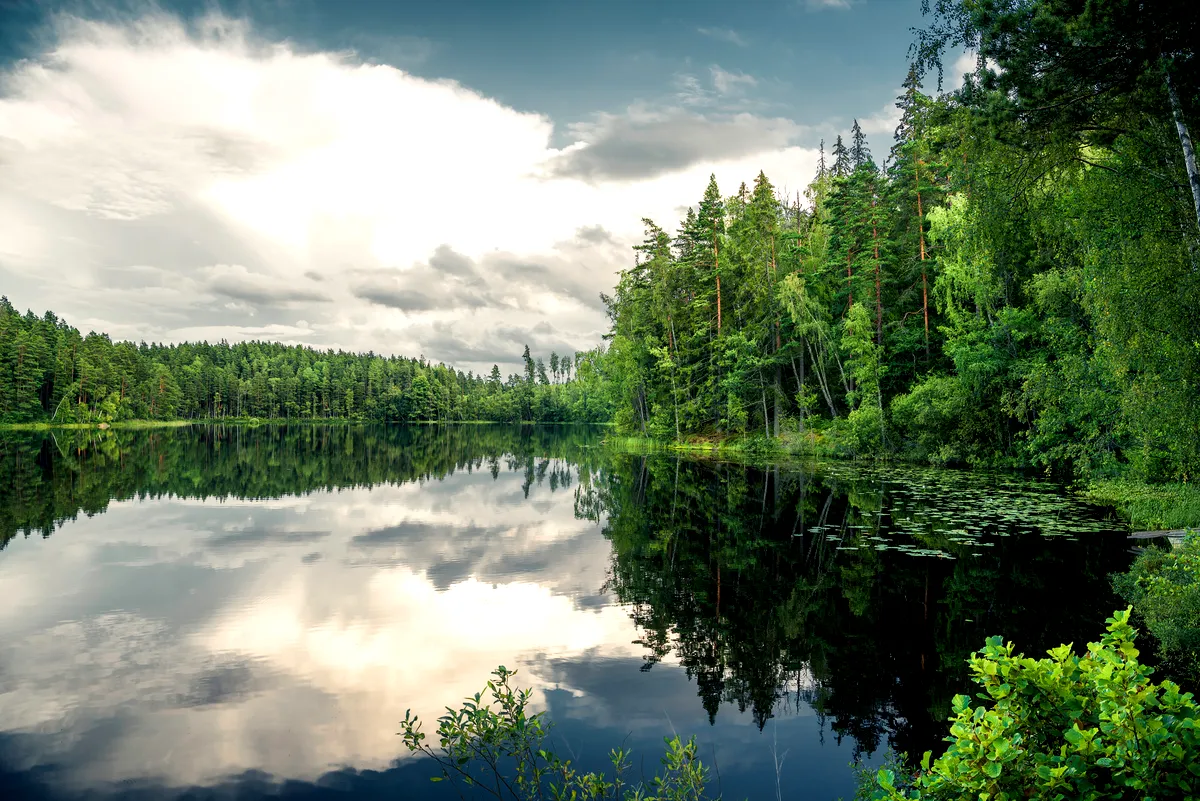 Sweden in the Fall 